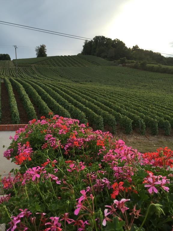 הוילה Vauciennes  La Loge Du Vigneron מראה חיצוני תמונה
