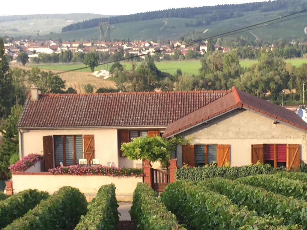 הוילה Vauciennes  La Loge Du Vigneron מראה חיצוני תמונה